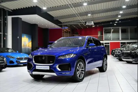 Used JAGUAR F-PACE Petrol 2016 Ad 