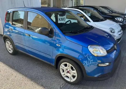 Used FIAT PANDA Hybrid 2024 Ad 