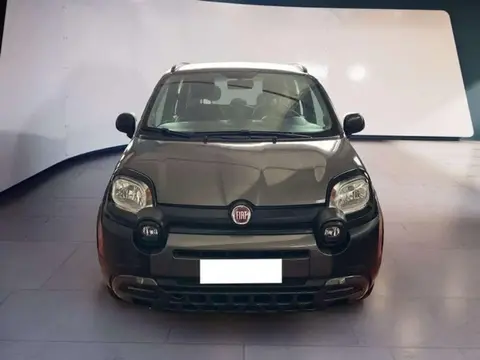 Used FIAT PANDA Petrol 2021 Ad 