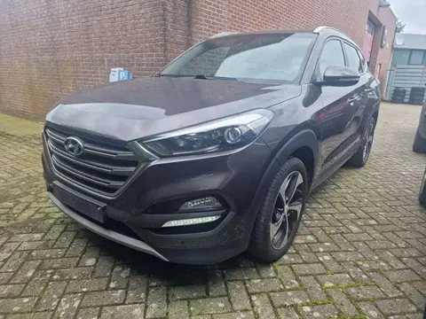 Used HYUNDAI TUCSON Diesel 2017 Ad 