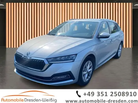 Annonce SKODA OCTAVIA Essence 2024 d'occasion 