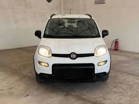 Used FIAT PANDA Hybrid 2022 Ad 