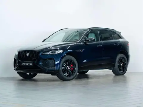 Annonce JAGUAR F-PACE Hybride 2023 d'occasion 