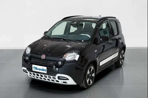 Used FIAT PANDA Hybrid 2024 Ad 