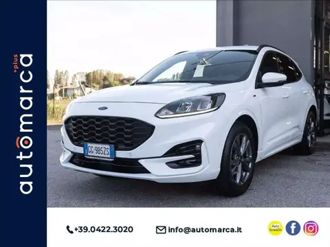 Used FORD KUGA Petrol 2021 Ad 