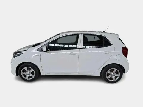 Annonce KIA PICANTO Essence 2019 d'occasion 