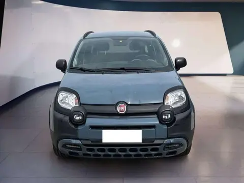 Annonce FIAT PANDA Hybride 2021 d'occasion 