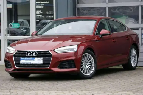 Annonce AUDI A5 Essence 2019 d'occasion 