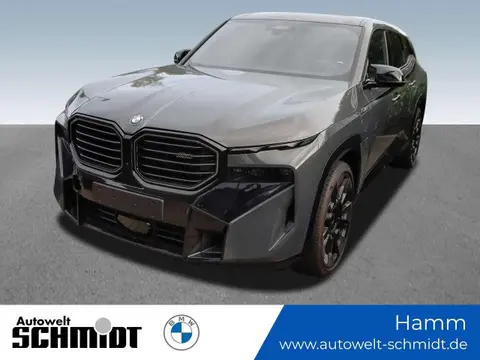 Used BMW XM Hybrid 2024 Ad 