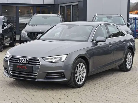 Used AUDI A4 Diesel 2017 Ad 