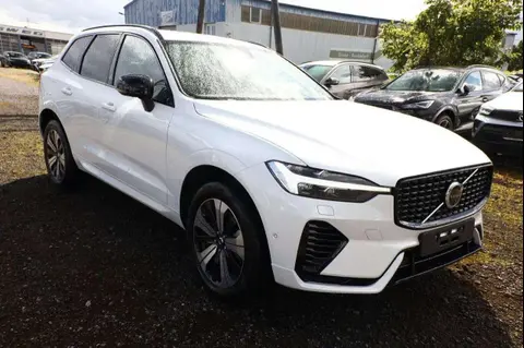 Used VOLVO XC60 Hybrid 2024 Ad 