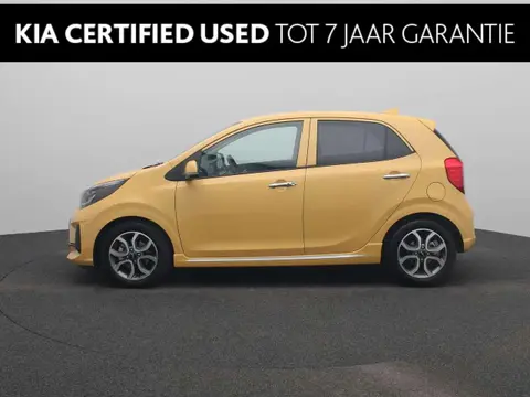 Used KIA PICANTO Petrol 2024 Ad 