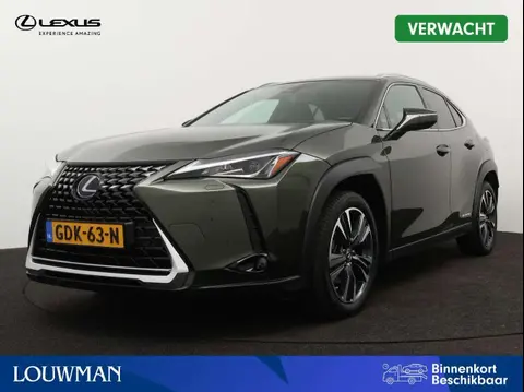 Used LEXUS UX Hybrid 2021 Ad 