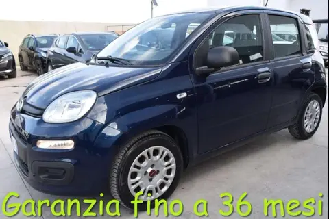 Used FIAT PANDA Hybrid 2021 Ad Italy