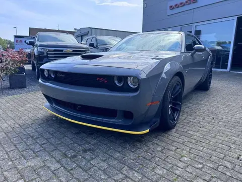 Annonce DODGE CHALLENGER Essence 2024 d'occasion 