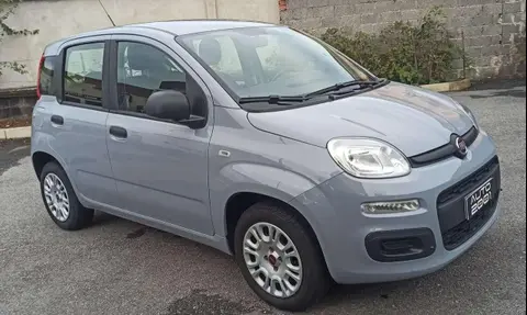 Annonce FIAT PANDA Essence 2019 d'occasion 