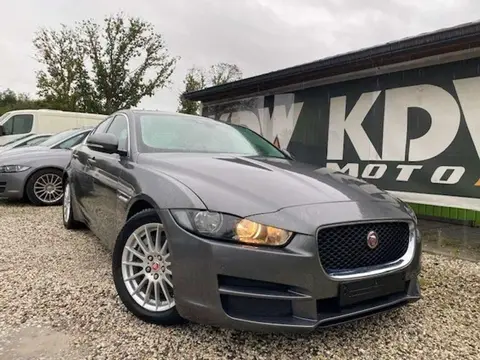 Annonce JAGUAR XE Diesel 2016 d'occasion 