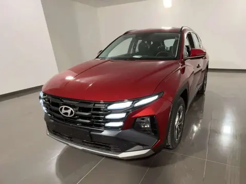 Annonce HYUNDAI TUCSON Hybride 2024 d'occasion 