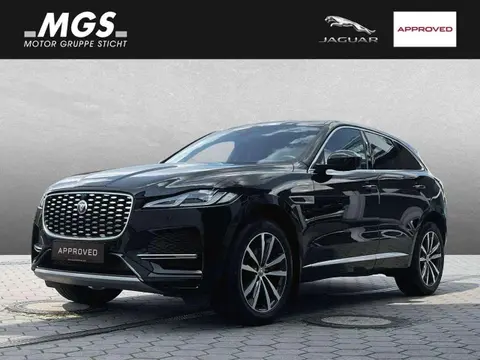 Used JAGUAR F-PACE Diesel 2021 Ad 