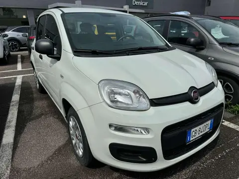 Annonce FIAT PANDA Essence 2020 d'occasion 