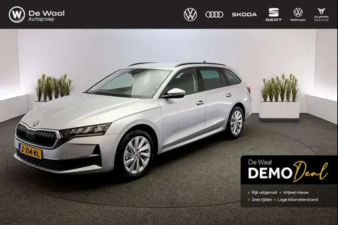 Annonce SKODA OCTAVIA Essence 2024 d'occasion 