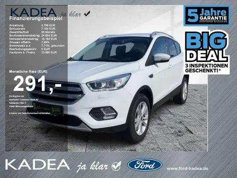 Used FORD KUGA Petrol 2019 Ad 