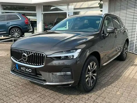 Annonce VOLVO XC60 Hybride 2023 d'occasion 