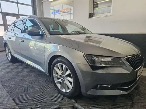 Annonce SKODA SUPERB Diesel 2019 d'occasion 