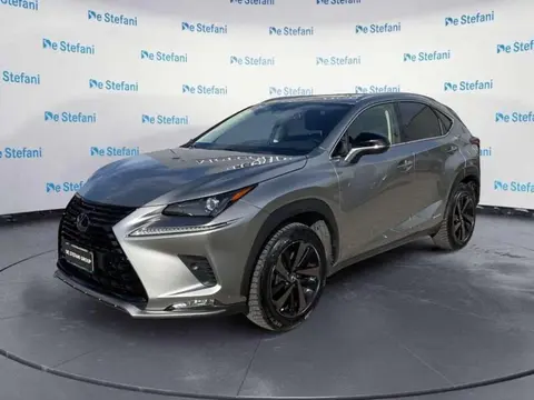 Annonce LEXUS NX Hybride 2022 d'occasion 