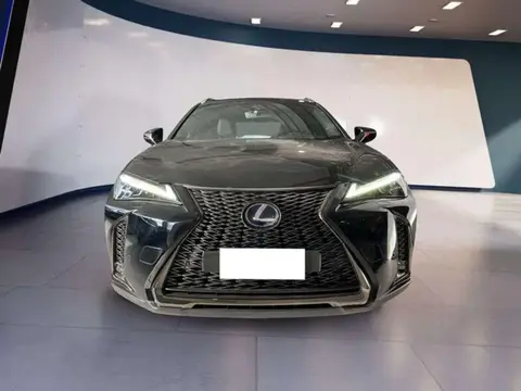 Used LEXUS UX Hybrid 2020 Ad 