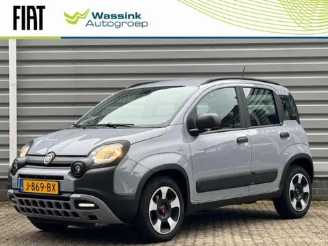 Used FIAT PANDA Hybrid 2020 Ad 