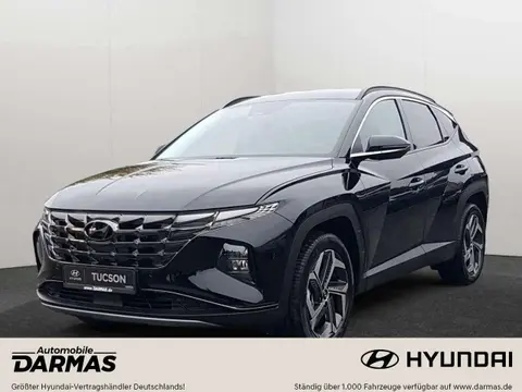 Used HYUNDAI TUCSON Hybrid 2024 Ad 