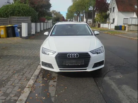 Used AUDI A4 Diesel 2019 Ad Germany