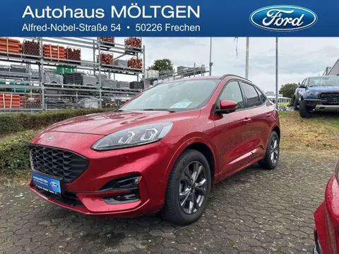 Used FORD KUGA Diesel 2022 Ad 