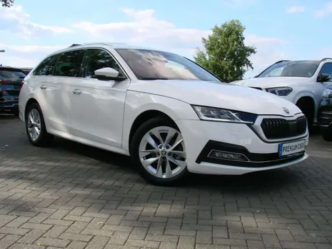 Annonce SKODA OCTAVIA Diesel 2020 d'occasion 