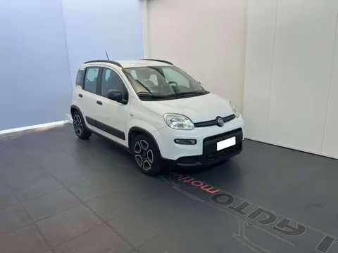 Annonce FIAT PANDA Hybride 2021 d'occasion 