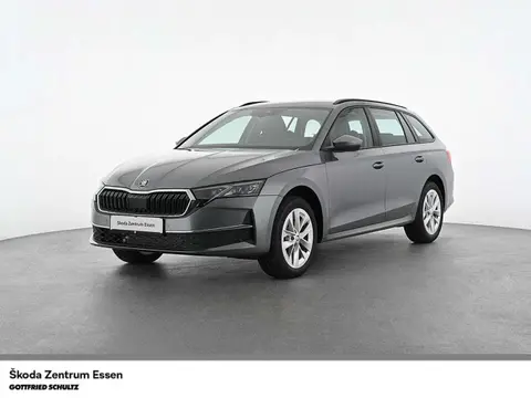 Annonce SKODA OCTAVIA Diesel 2024 d'occasion 