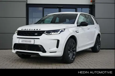 Used LAND ROVER DISCOVERY Hybrid 2021 Ad 