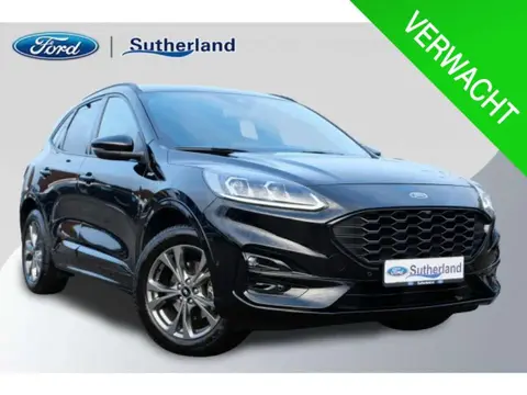 Annonce FORD KUGA Hybride 2024 d'occasion 