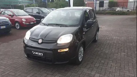 Annonce FIAT PANDA Hybride 2024 d'occasion 