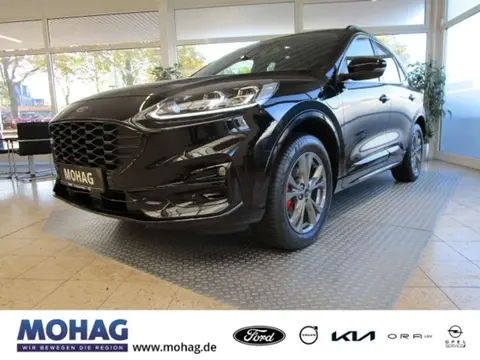 Used FORD KUGA Hybrid 2021 Ad 