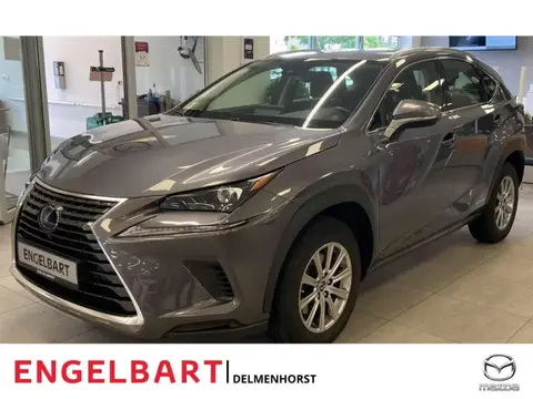 Used LEXUS NX Hybrid 2020 Ad 