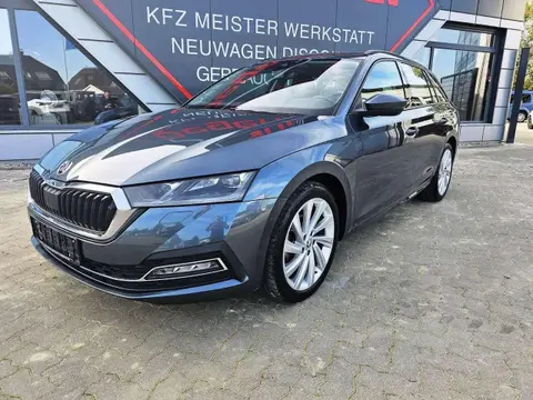 Annonce SKODA OCTAVIA Diesel 2020 d'occasion 