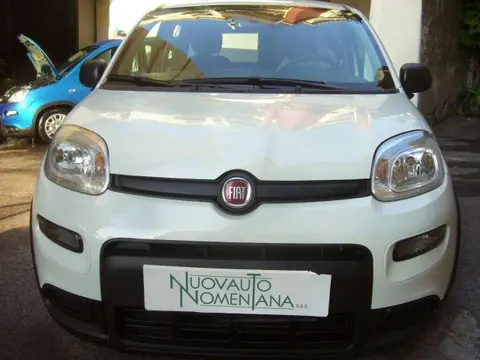 Annonce FIAT PANDA Hybride 2024 d'occasion 