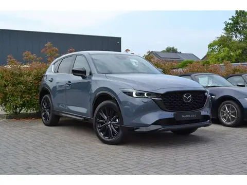 Annonce MAZDA CX-5 Hybride 2024 d'occasion 