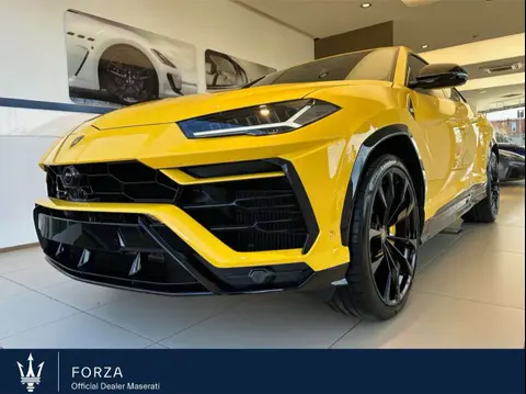 Annonce LAMBORGHINI URUS Essence 2024 d'occasion 