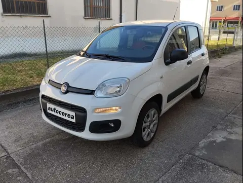 Used FIAT PANDA Petrol 2019 Ad 