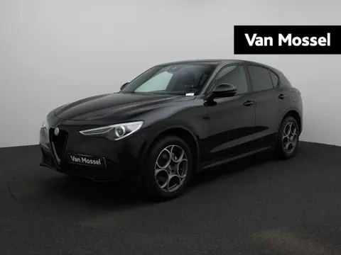 Used ALFA ROMEO STELVIO Petrol 2022 Ad 