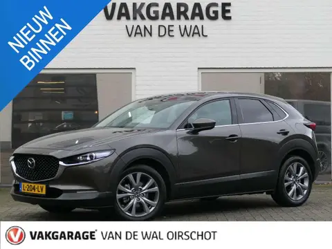 Used MAZDA CX-30 Hybrid 2021 Ad 