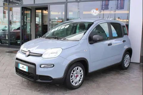 Used FIAT PANDA Hybrid 2022 Ad 